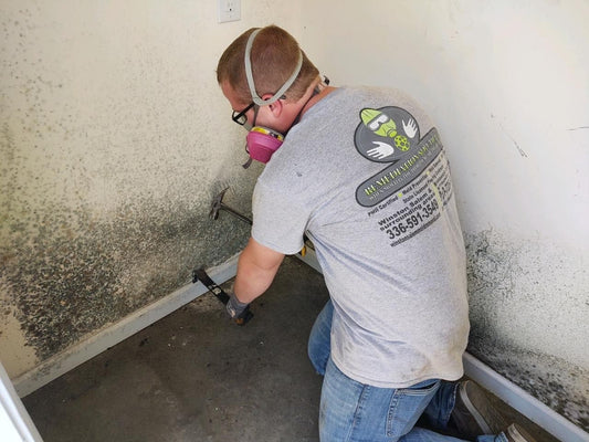 Basement Mold Remediation