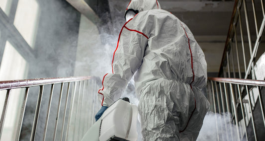 Importance of Professional Mold Remediation