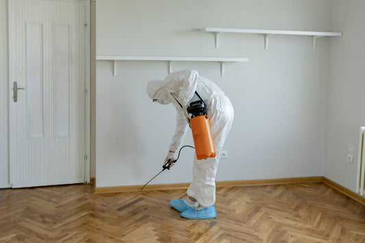 Mold Inspection and Assessment
