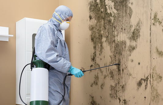 Navigating Water Damage and Mold Remediation in Southgate
