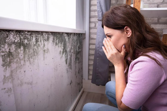 Mold Removal vs. Professional Remediation