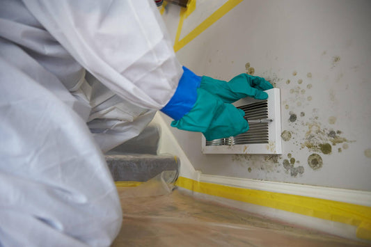 Odor Elimination During Mold Remediation