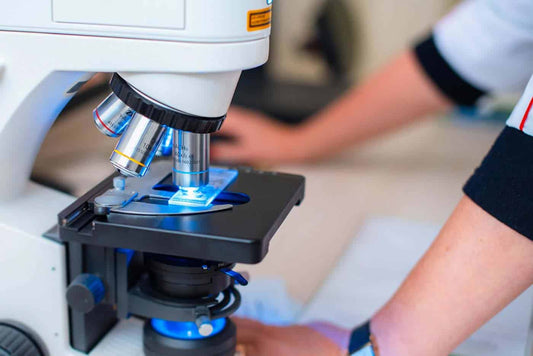 PLM and PCM in Asbestos Testing