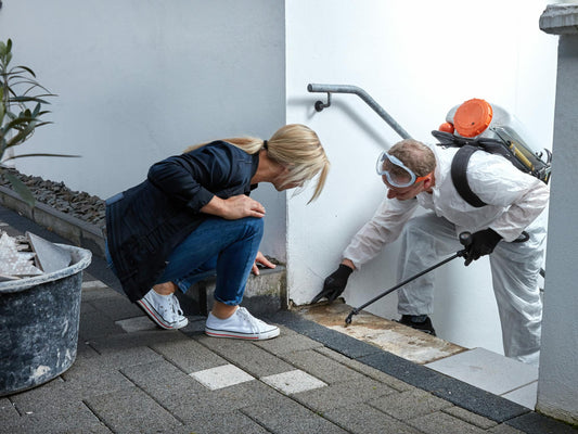 Riverview’s Guide to Choosing the Right Mold Remediation Service