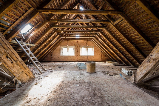Farmington Hills' Solutions for Attic Mold Removal