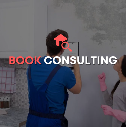 Mold Removal & Remediation Assessment