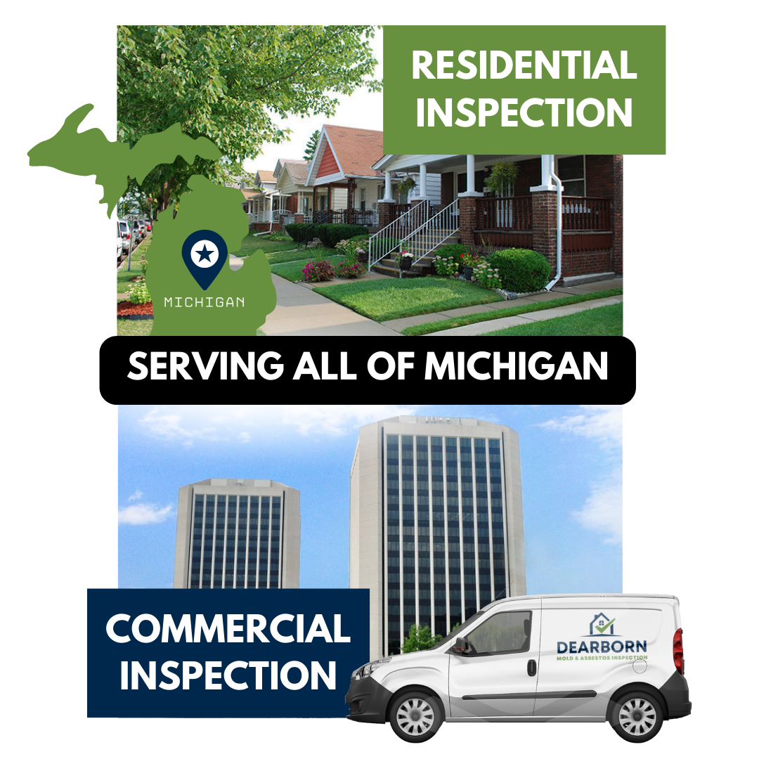 Mold Removal & Remediation Assessment
