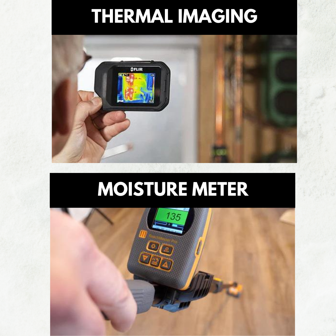 Book a Mold Inspection