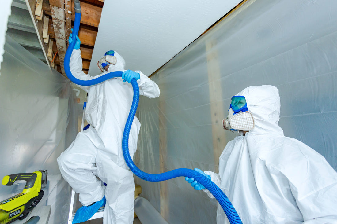 Benefits of Regular Mold Testing in Garden City Properties