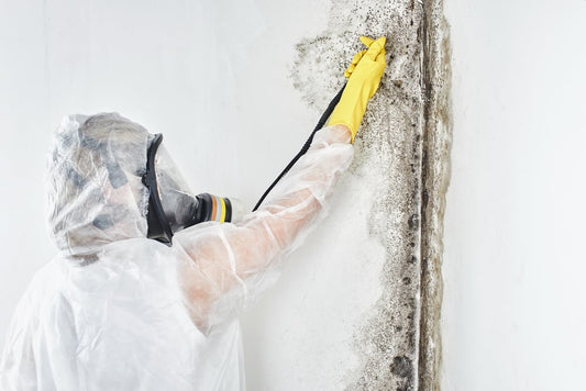 Mold Remediation for Wyandotte Homes