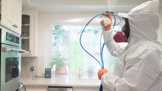 Why Mold Inspection is Critical Before Buying a Home in Allen Park